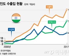 [MT리포트]13억 인도 속으로 뛰어든 한국 기업들