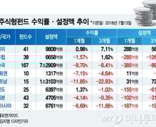 '무역분쟁에 흔들린 해외펀드' 북미펀드는 웃었다