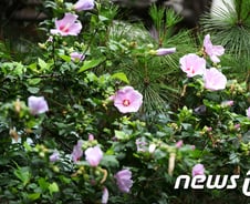 [팩트체크]5대 국경일 '제헌절'…우리나라만 안 쉴까?
