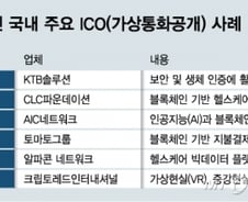 [MT리포트]해외서 진행한 ICO도 현행 법 위반 소지