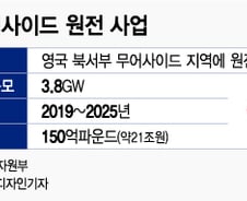 [단독]英 "사용후핵연료 해법없인 韓 원전 못준다"