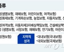 [MT리포트]북한도 자동차보험은 의무…보험사는 국영 1곳
