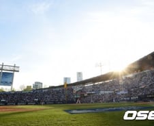 '폭염에도 야구 인기 최고' 8년 연속 600만 관중 돌파 초읽기