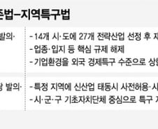 [단독]규제프리존+지역특구=규제완화구역법 나온다..기재위 전담