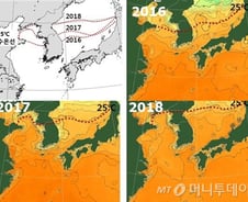 폭염에 여름 바다도 '앗 뜨거'…매년 0.34도씩 수온 상승