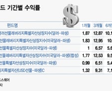 터키發 금융 위기 속 홀로 미소 지은 '달러' 