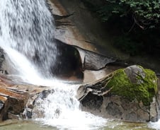 파도를 멈추게 하지는 못합니다. 하지만 서핑을 배울 수 있습니다