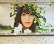 [MT리포트]대마 고장 안동포 치매율 0.6%… 대마의 재발견