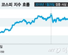 공포가 지배하는 韓 증시…"현 주가는 터키와 동급"