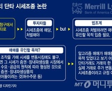 [MT리포트]메릴린치 단타, 시세조종이라고?