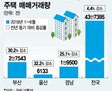 [MT리포트]거래 막히고 미분양 늘고…울고 싶은 '부울경'