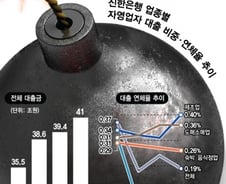 [MT리포트]자영업자 대출 뜯어보니…이래서 위험하다