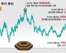 성장동력도, 주주환원도 '갸우뚱'…만년 저평가株, 현대홈쇼핑