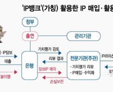 [단독]중기·벤처 특허 담보로 돈 빌릴때 정부가 보증선다