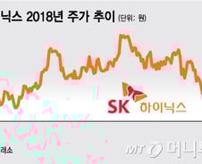 2018년 수익률 0%…외국인 "미워도 SK하이닉스"