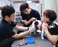 [#터뷰]다친 동물을 위해 휠체어를 만드는 남자 (영상)