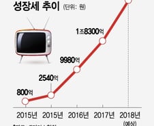[MT리포트]'짝퉁홈쇼핑'서 황금알 거위된 T커머스 