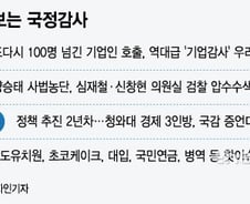[MT리포트][단독]'100+α'…기업인 2배 늘어난 文 정부 첫 국정감사