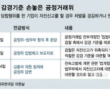 [단독]"리니언시 감경기준 법무부가"…사실상 손놓은 공정위