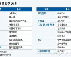 혼돈의 주식시장, 주도주 '춘추전국시대' 개막