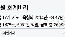 [MT리포트]걸려도 처벌은 솜방망이…사립유치원 회계 불투명한 이유