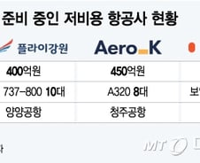 [MT리포트]'과당경쟁' 빗장 푼 정부…새 항공사 날개 펼까