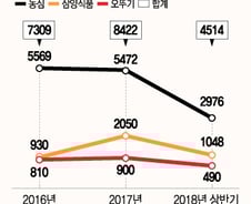 [MT리포트]K푸드 대표주자 라면…해외 판매 1조 시대