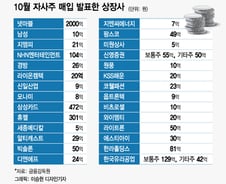 "주가를 안정시켜라" 자사주 사고 배당쏘는 기업들