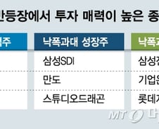 베어마켓 진정되면 반등장…"쇼핑할 주식 N0.1은?"