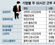 [MT리포트]탄력근로제 확대 재계 '숨통'…"업종별 추가보완책 필요"