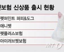 [단독]이중계약조회 '구멍'…보험금 여러번 청구해도 모르는 펫보험