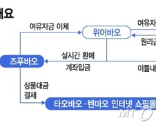 [MT리포트]증권업 진출 카카오페이, 한국판 위어바오 될까