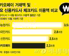 [MT리포트]월 이용액 2.3조…카드사 위협하는 카카오페이
