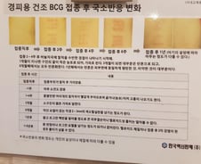 [단독]비소 오염 BCG 10년간 사용…식약처 "2009년부터 함유 추정"
