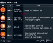 [MT리포트]'빨간비디오'부터 스트리밍까지…포르노의 변신