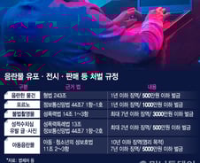 [MT리포트]'직박구리 폴더'에 수천기가 포르노, 처벌은…