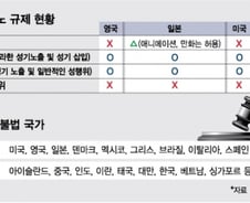 [MT리포트]해외 곳곳서 포르노 공론화…韓, 제자리걸음