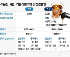[단독]與, 음주운전 처벌강화…"2회 이상, 징역 최대 5년"