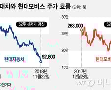현대차그룹株 '품질의 악몽'…연일 신저가 쇼크