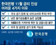 금리인상 '실기론'?…한은 11월 금리 인상 어려운 4가지 이유