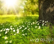 성공하려면 당신의 약점에 대해 솔직하게 털어놓자