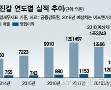 "계열사 성장성 유효"…지주사 한진칼, 주가 날아오를까