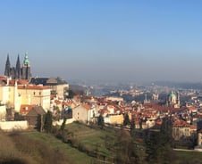 "모든것 지지하지만 탈원전은 반대"에 대처하는 文의 자세