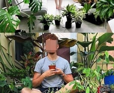 [MT리포트] 화초에 빠진 밀레니얼세대…경제적 어려움에 그나마 위안 