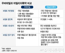 [단독]택시요금처럼 '탄 만큼' 보험료 내는 차보험 나온다