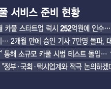 혁신과 생존 갈림길 선 카카오 카풀
