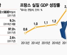[MT리포트]노란조끼의 승리=프랑스 경제의 재앙?