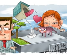 [르포]'길냥이 쉼터' 가봤더니…불안한 '셋방살이'[개人주의]