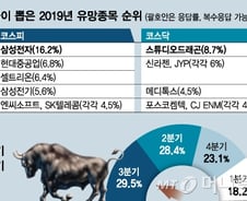 올해 유망종목 '삼성전자·스튜디오드래곤'