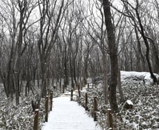 [웰빙에세이]나를 깨우치는 두 가지 삶의 공식